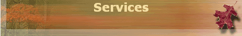 Services